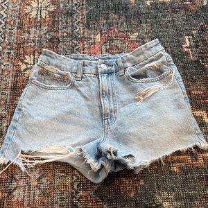 American Eagle Outfitters Light Blue Distressed Jean Shorts